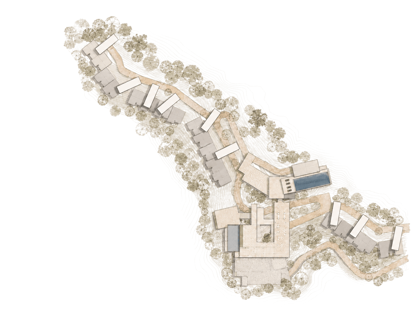 Plan Drawing